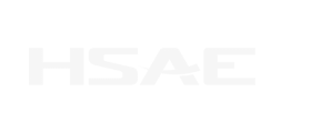 某某logo