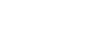 某某logo